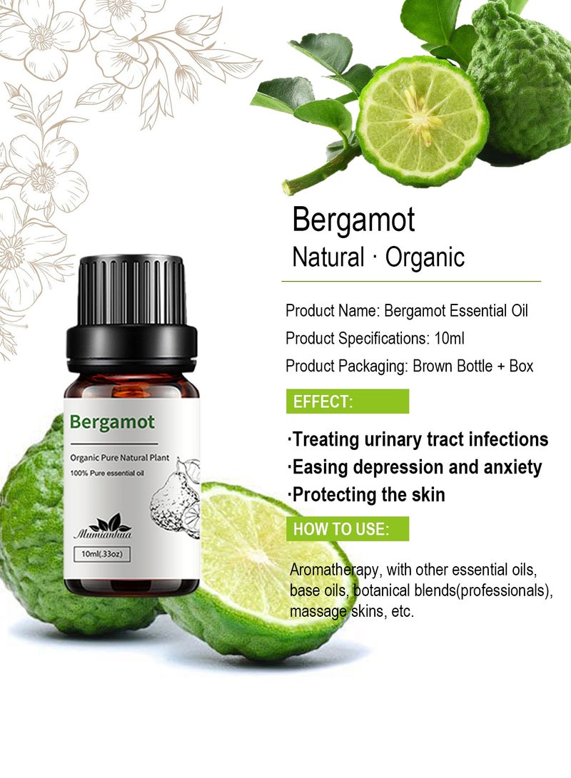 Mumianhua 8 Pieces Essential Oils Set Concentrated Aroma Fragrance Oil Set  Aromatherapy For Home Office Car Bathroom Aroma Oils Package Aroma Diffuser Fruity Aroma - Image 3